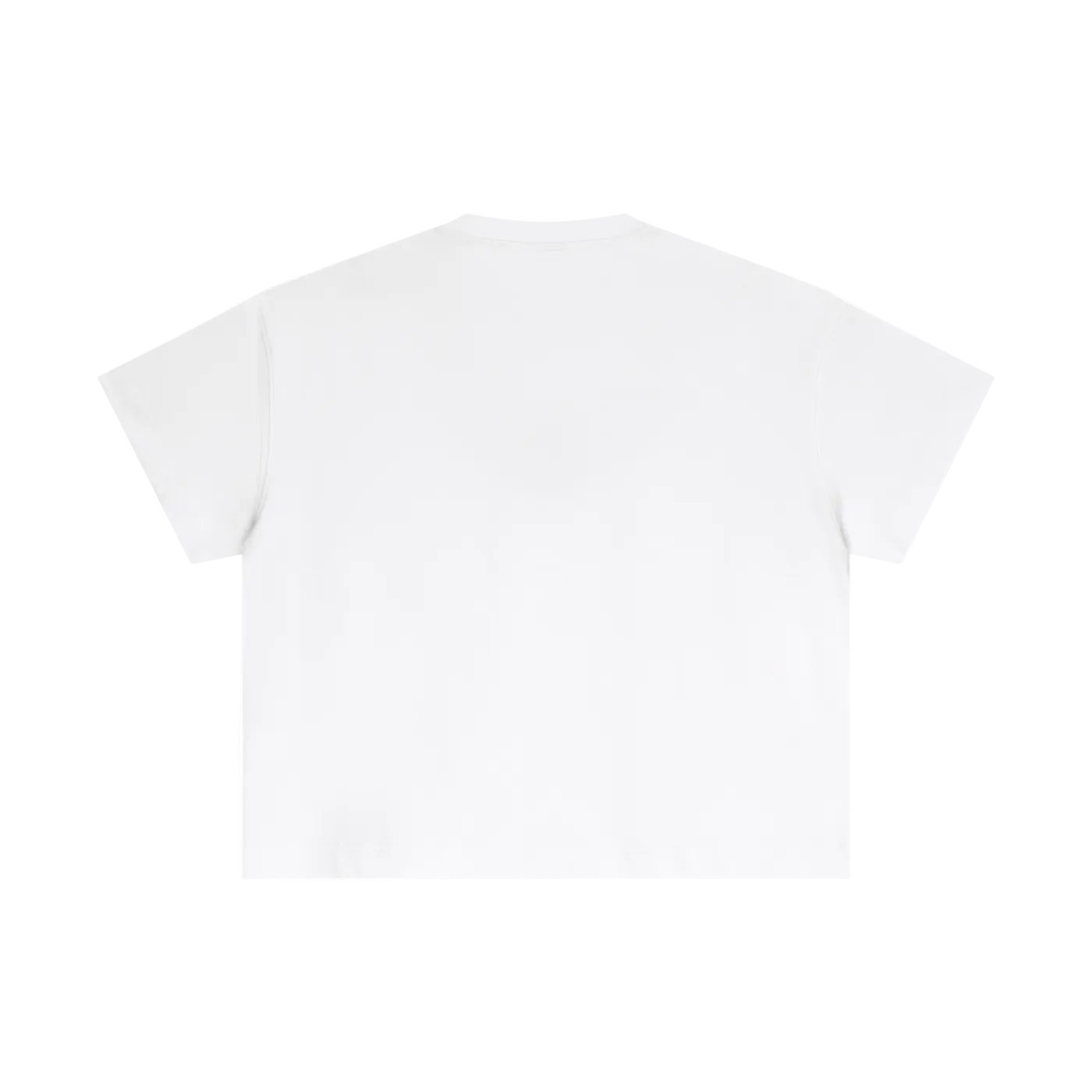 STARS ARE FREEDOM "OBJ" Boxy T